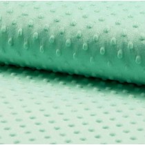 Minky Fleece mint