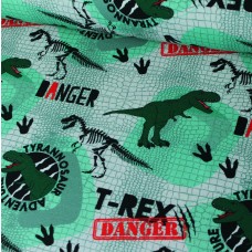 T-Rex Adventure Sweat